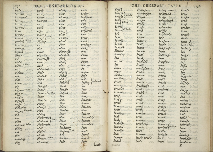 Image of Mulcaster dictionary